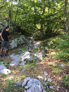 Biokovo