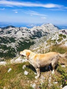 Biokovo