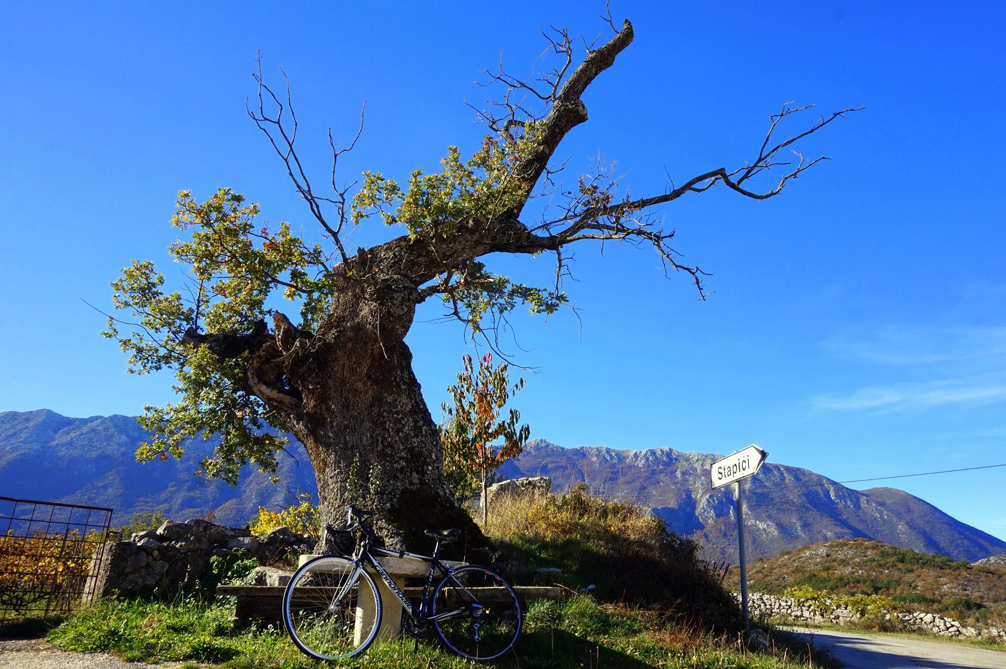 Cycling